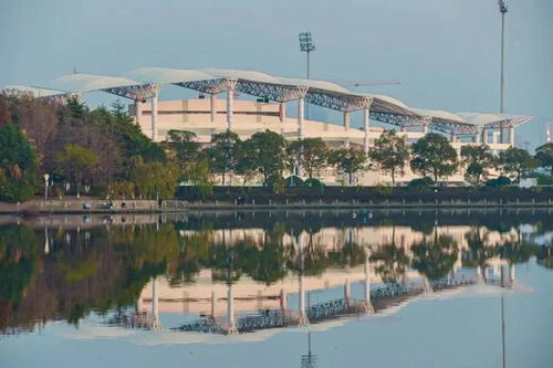 南昌大學食品學院2024年博士后招聘公告